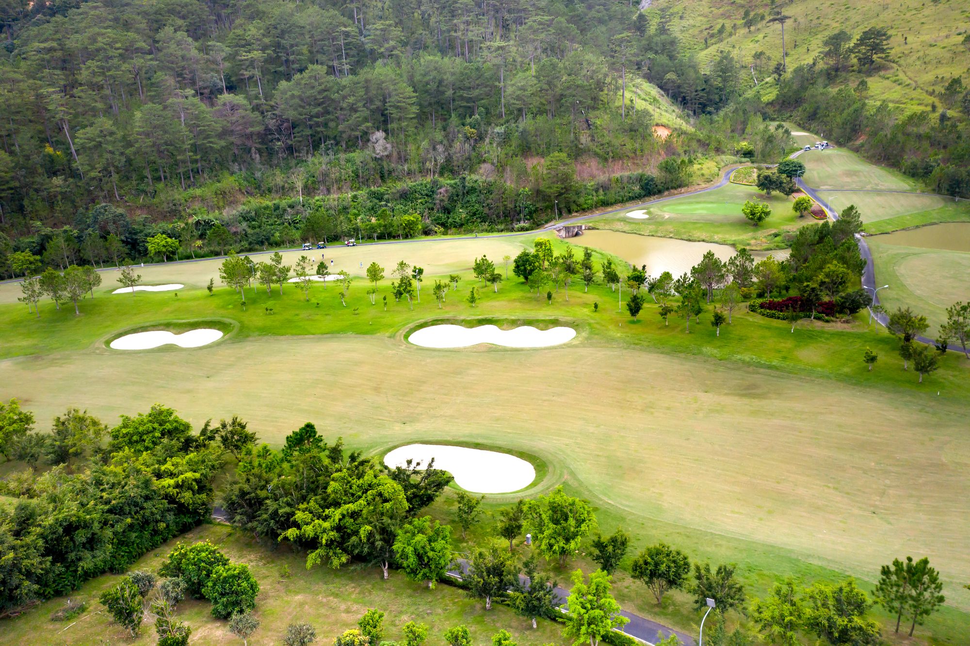 Golf course landscape in Japan